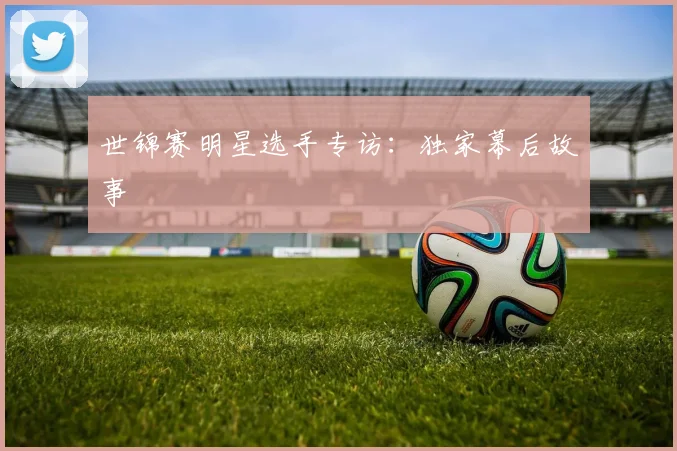 世锦赛明星选手专访：独家幕后故事